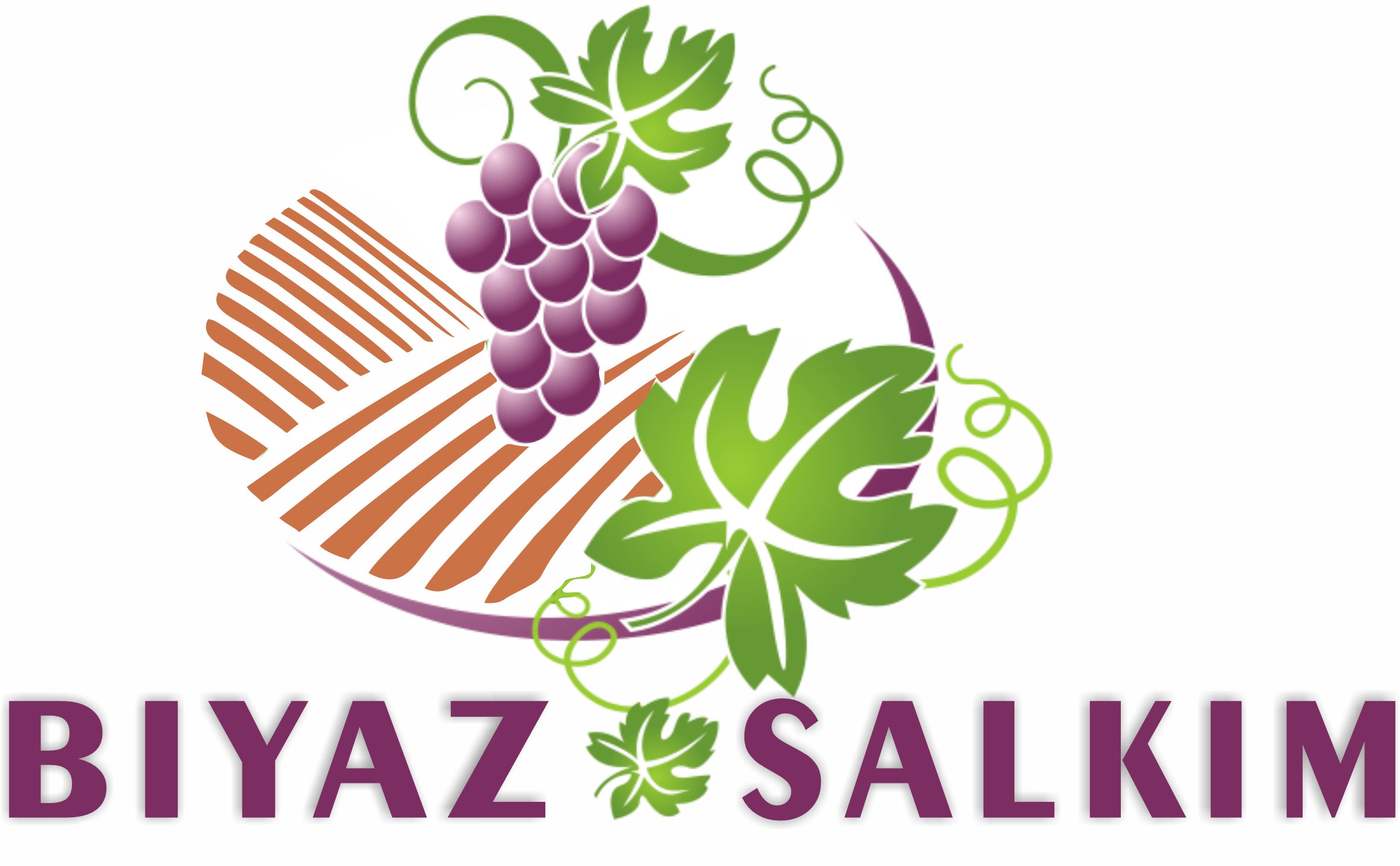 ByazSalcim_logo-002