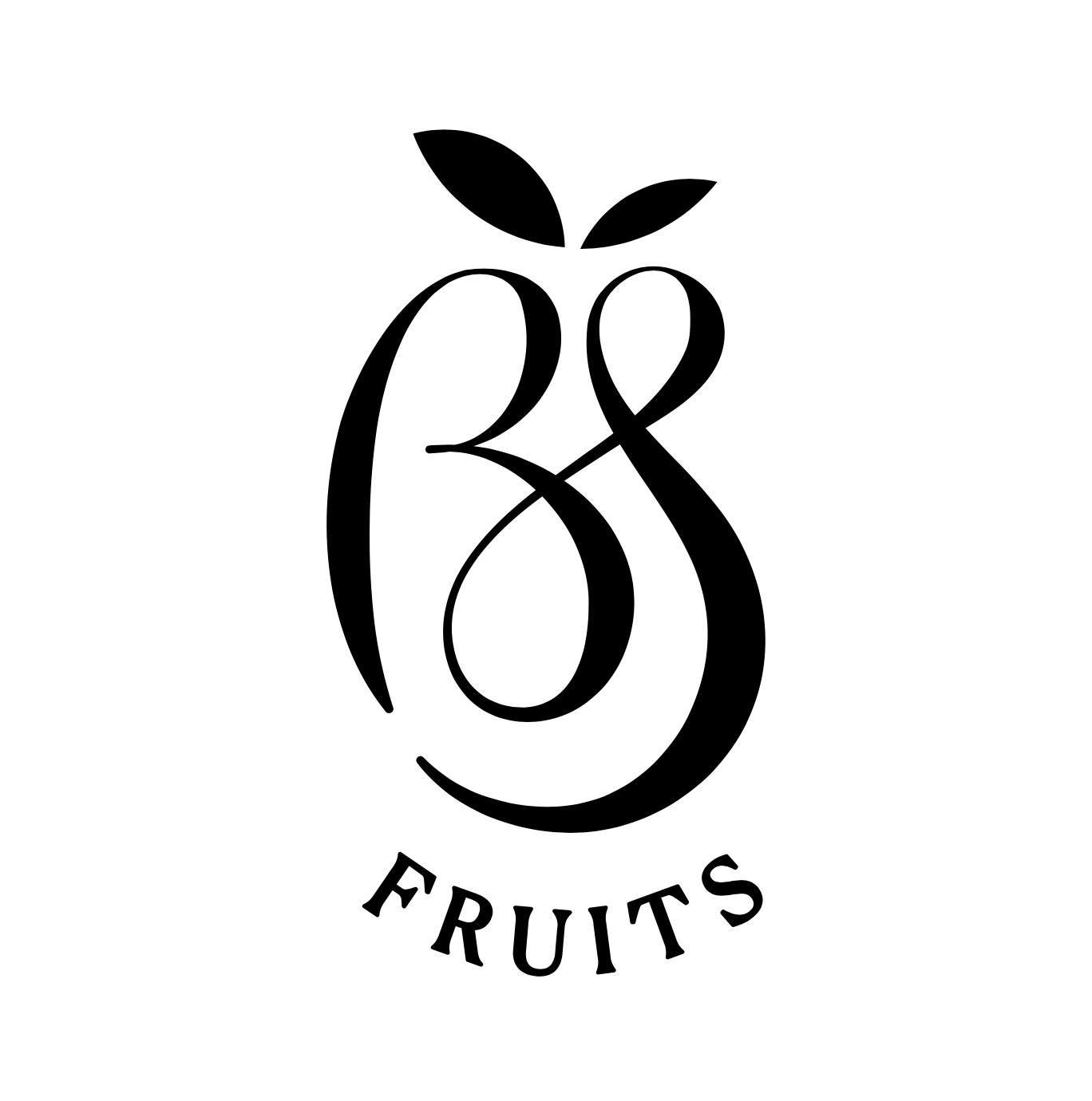biyaz salkim logo