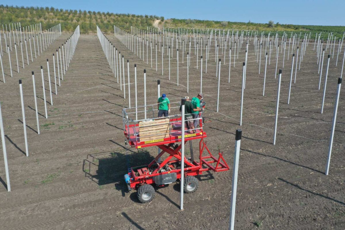 viber_image_2022-10-11_21-18-13-162-min