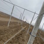 Промежуточный рычаг Тендоне