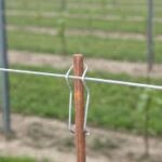 Фиксаторы для туторов