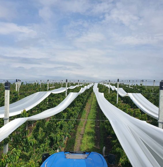 0-02-05-df8dafc406d747f65055cc77f7756d8bf72893f6230a419ece346d941b9acede_fa145ef63757d5b4-min