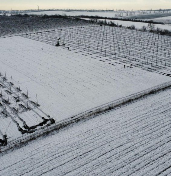 7b611b1f-fd59-45c8-957f-13df473d6b84