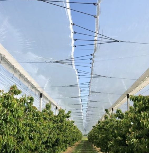 antipioggia background-min