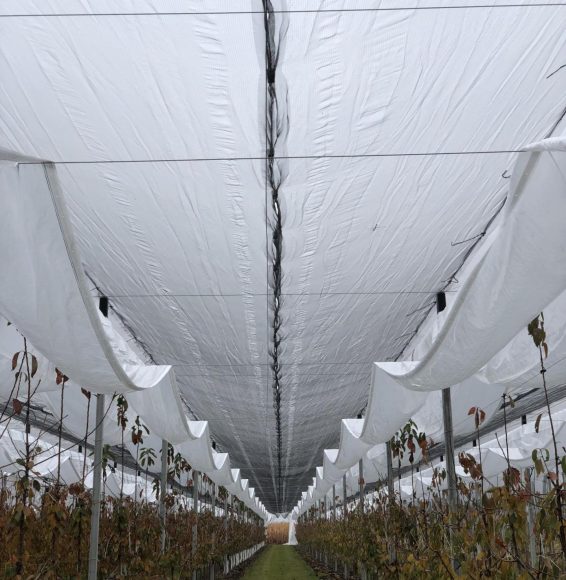 pelicula + antiploaie 3