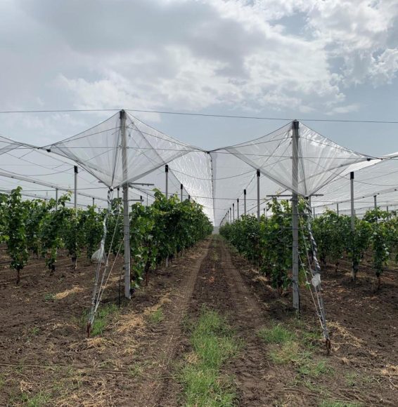 pentru site antigrindina 3