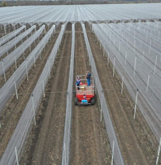 viber_image_2022-10-11_21-18-13-338